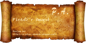 Pintér Amand névjegykártya