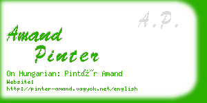 amand pinter business card